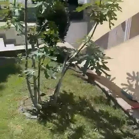 South Bay Apartment Sveti Vlas